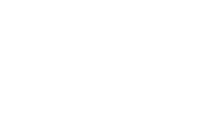 marco-sale-force-logo-hover